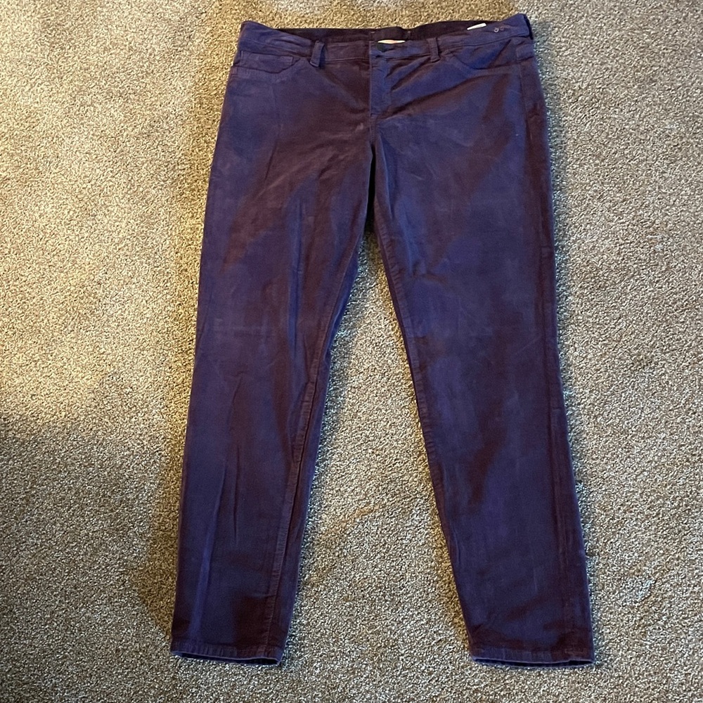 Dittos Women's Deep Purple Jeans
